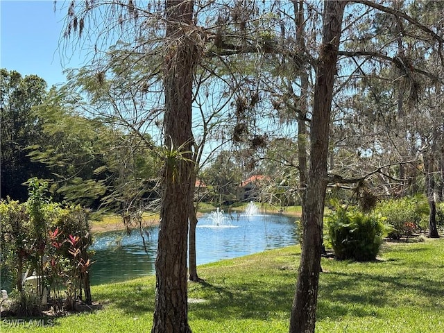 view of water feature