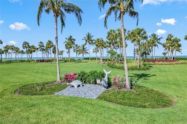 4031 Gulf Shore Blvd N Unit 95, Naples, FL 34103 - view of grassy yard featuring a water view