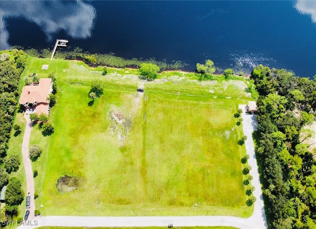 17107 Serengeti Cir, Alva FL, 33920 land for sale