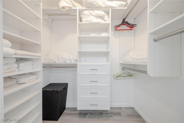 walk in closet with light hardwood / wood-style flooring