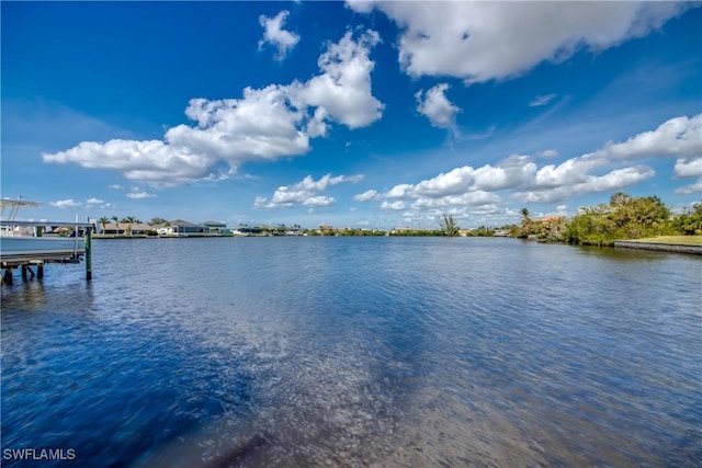 property view of water with a dock