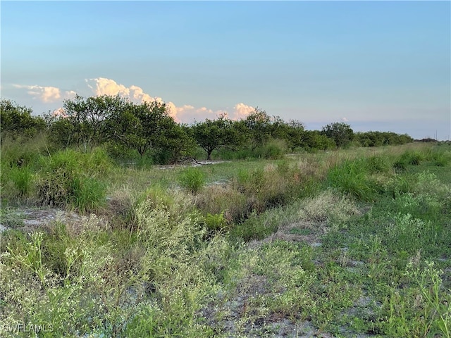 6435 7th Rd, Labelle FL, 33935 land for sale