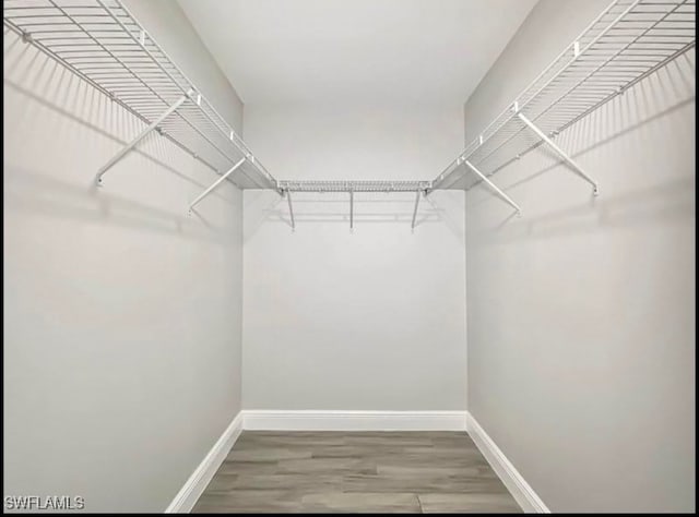 spacious closet with hardwood / wood-style flooring