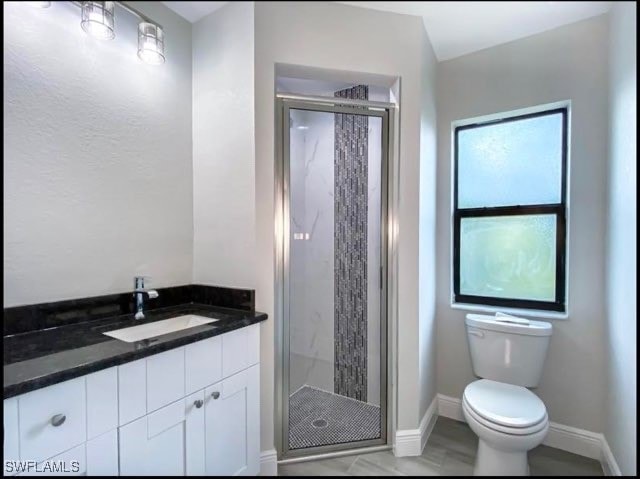 bathroom with vanity, a shower with shower door, and toilet