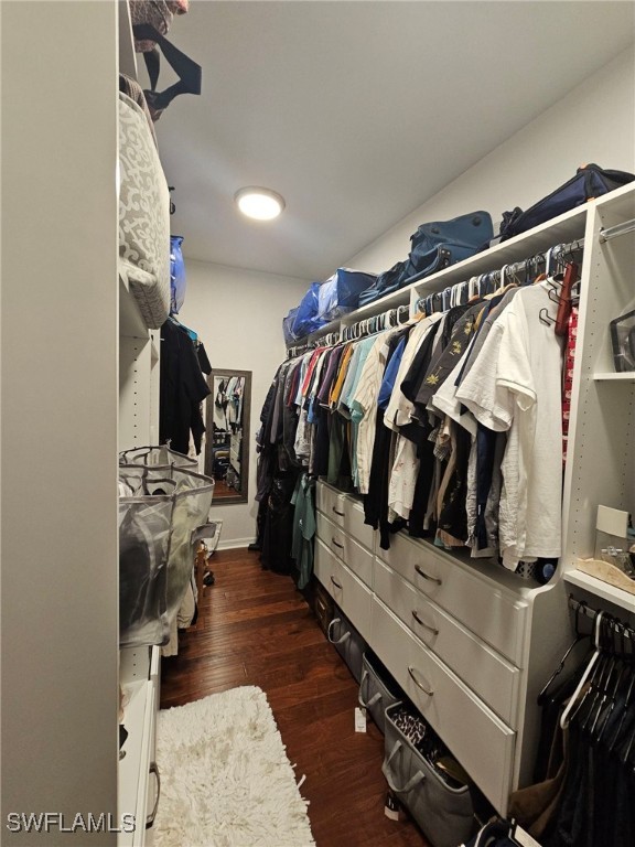 spacious closet featuring dark hardwood / wood-style flooring