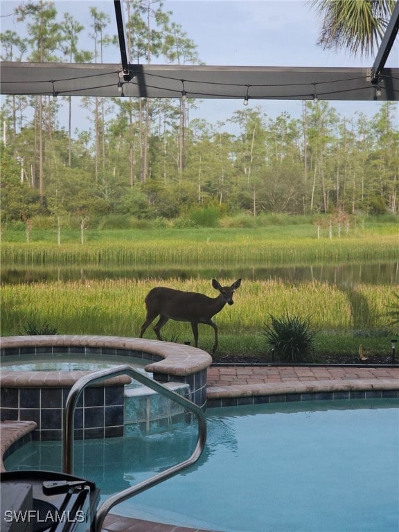 view of swimming pool