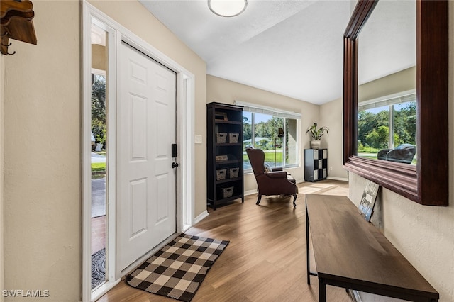 foyer entrance with light hardwood / wood-style floors and plenty of natural light