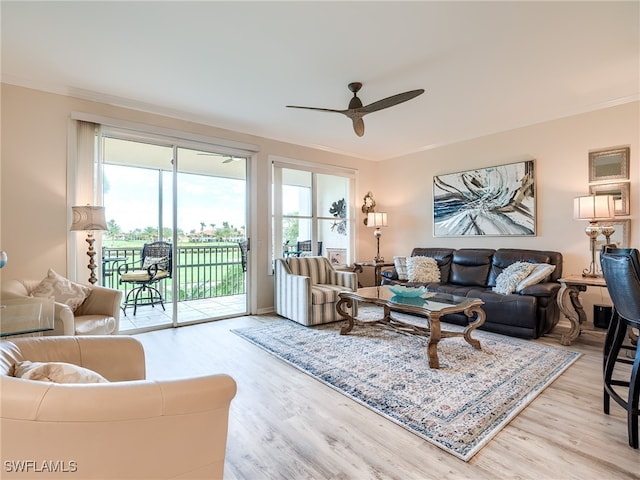 living room with hardwood / wood-style floors, ceiling fan, and ornamental molding