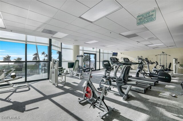 exercise room featuring a drop ceiling, light colored carpet, and floor to ceiling windows