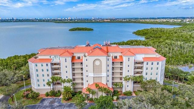 aerial view with a water view