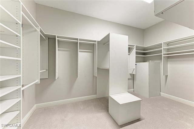 spacious closet featuring light colored carpet