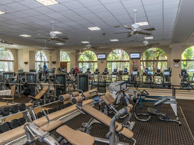 workout area with a paneled ceiling, ceiling fan, and carpet