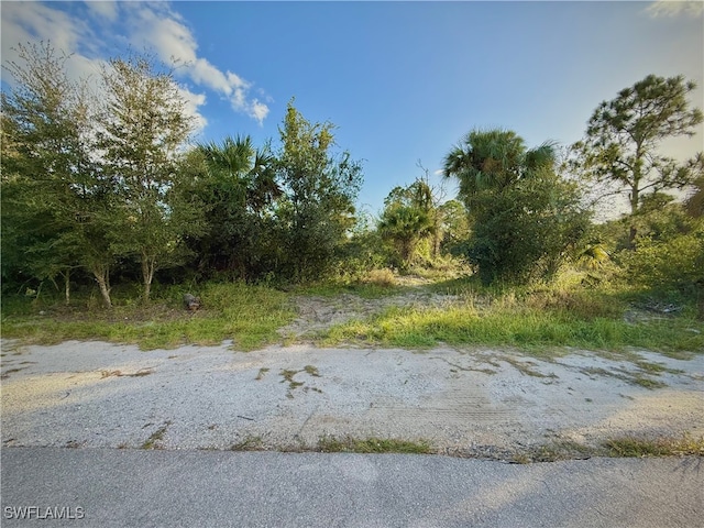 1214 Beaver St E, Lehigh Acres FL, 33974 land for sale