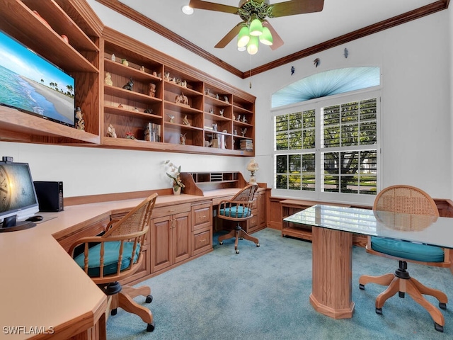 carpeted office featuring built in desk, ceiling fan, and crown molding