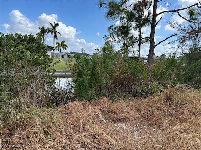 2155 NW 24th Ave, Cape Coral FL, 33993 land for sale