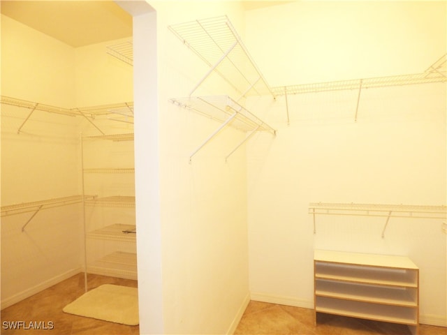 view of walk in closet