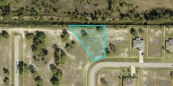 2943 NW 27th St, Cape Coral FL, 33993 land for sale