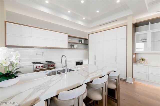 kitchen with light stone countertops, a tray ceiling, white cabinetry, and light hardwood / wood-style floors