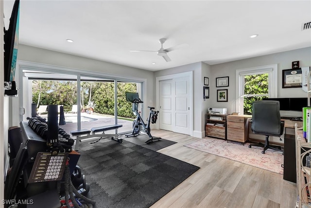 workout room featuring light hardwood / wood-style floors and ceiling fan