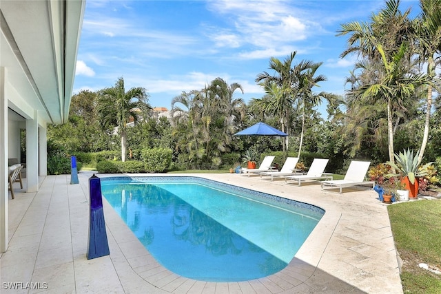 view of pool with a patio