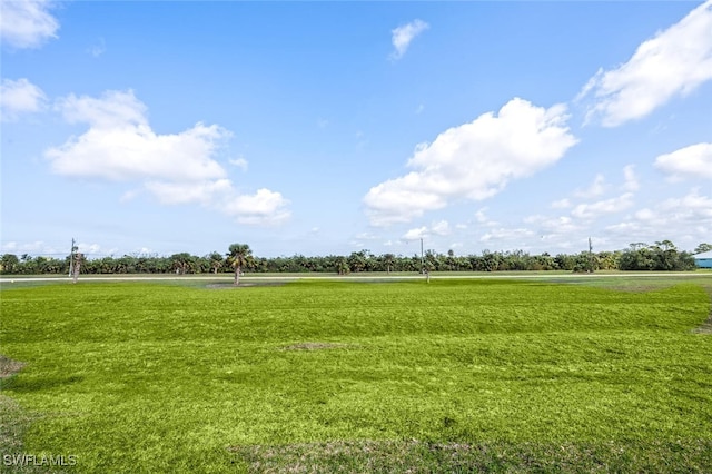 view of community featuring a yard