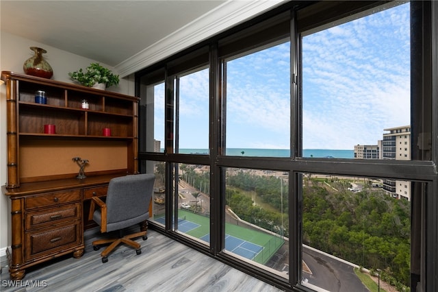 home office with a water view, ornamental molding, and light hardwood / wood-style flooring