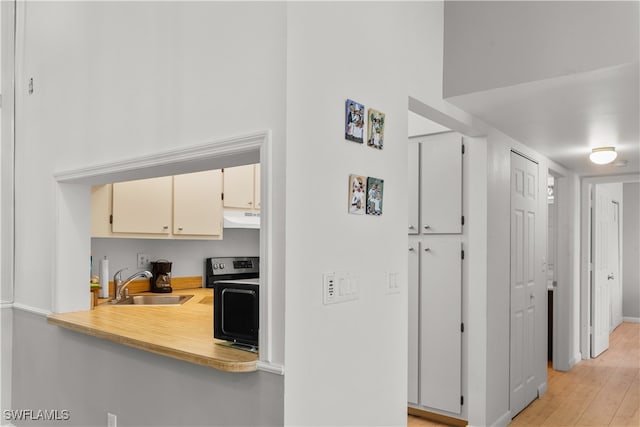 kitchen featuring light hardwood / wood-style flooring, range, sink, and stainless steel range with electric cooktop