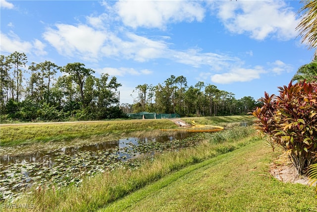 view of community with a water view