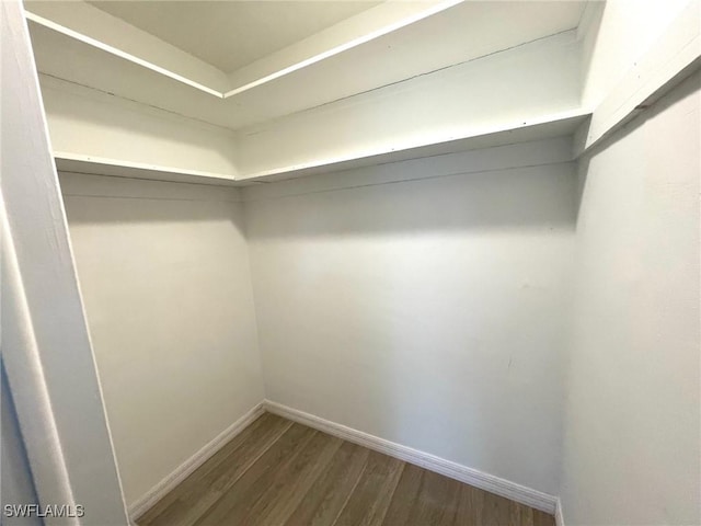 walk in closet with wood-type flooring