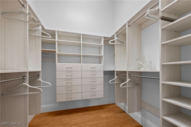 walk in closet with wood-type flooring