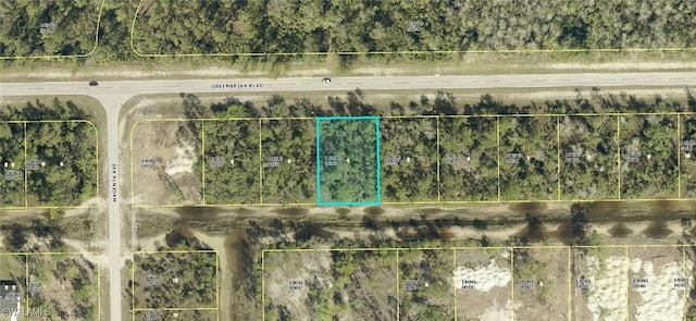 333/335 Greenbriar Blvd, Lehigh Acres FL, 33972 land for sale