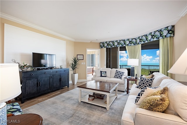 living room with crown molding and wood-type flooring