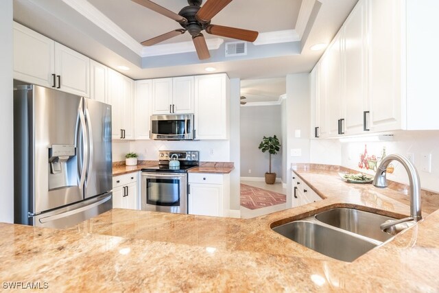 kitchen featuring white cabinetry, sink, a raised ceiling, and stainless steel appliances