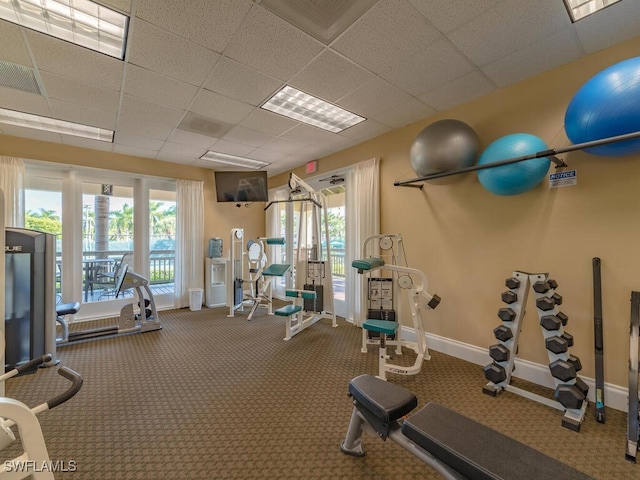 workout area featuring carpet, a drop ceiling, and plenty of natural light