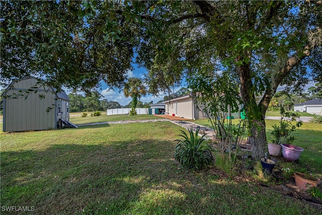 view of yard featuring a shed