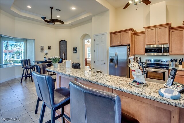 kitchen featuring a raised ceiling, plenty of natural light, a towering ceiling, and appliances with stainless steel finishes