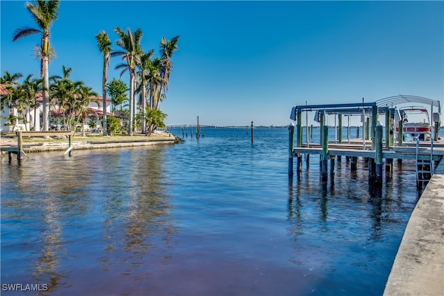 dock area with a water view