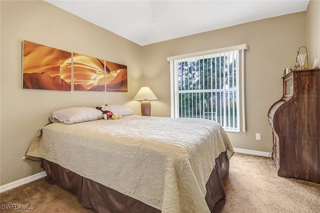 bedroom with carpet flooring