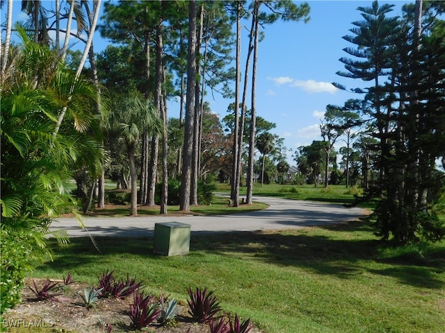 surrounding community featuring a yard