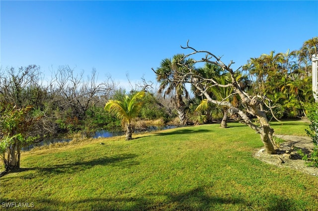 view of yard featuring a water view