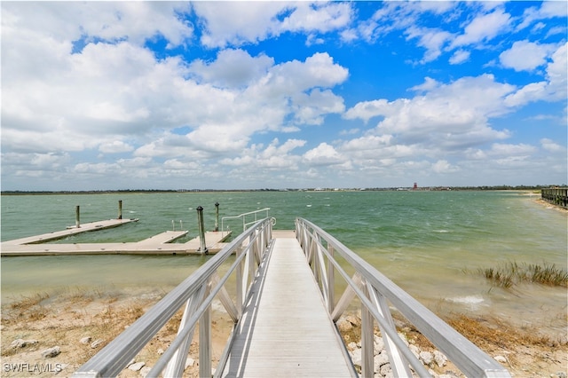 dock area with a water view