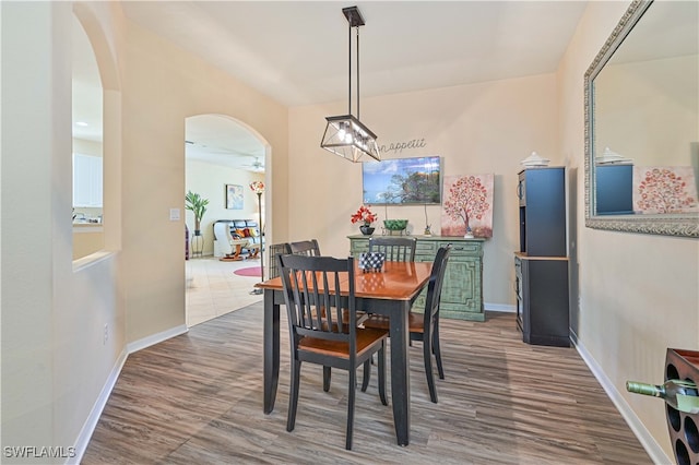 dining area featuring hardwood / wood-style flooring and ceiling fan