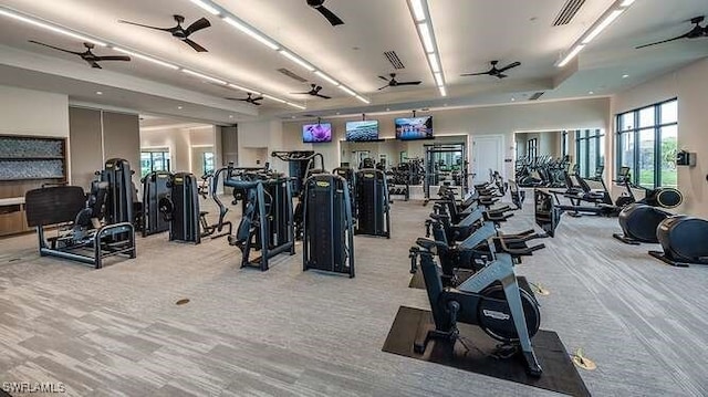 workout area with light colored carpet