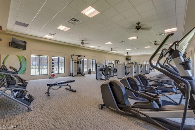 gym featuring ceiling fan, carpet, and a paneled ceiling