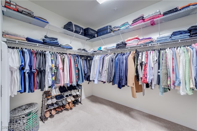 walk in closet with carpet floors