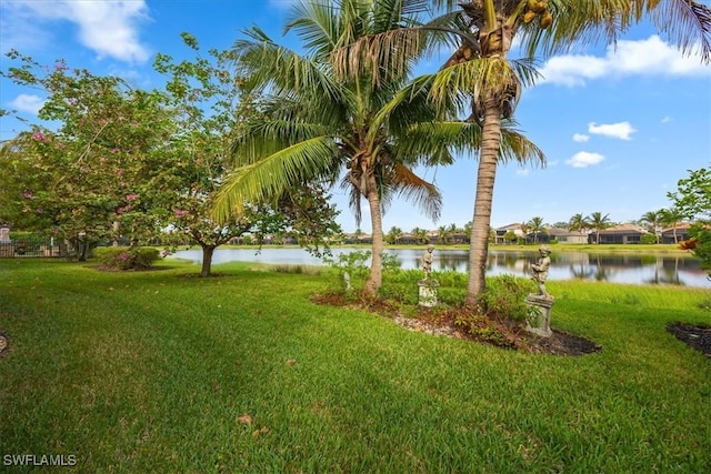 view of yard with a water view