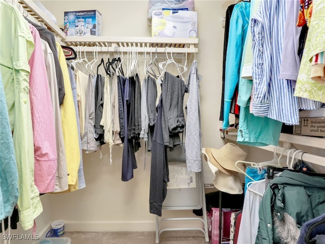 spacious closet with carpet flooring