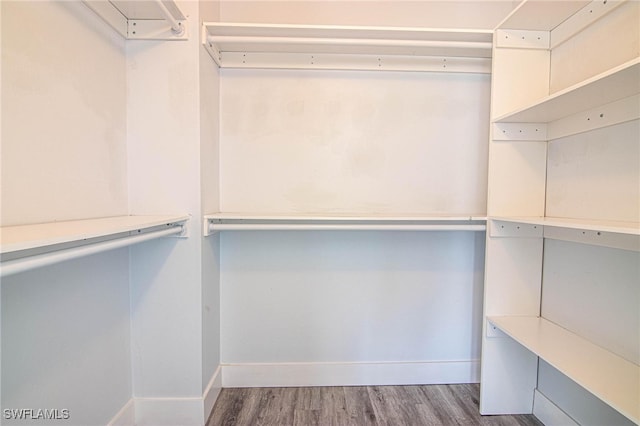 walk in closet with hardwood / wood-style floors