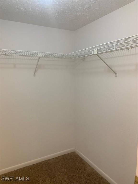 walk in closet featuring carpet floors