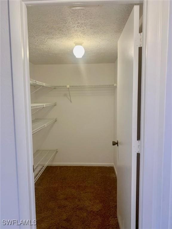 walk in closet featuring dark colored carpet